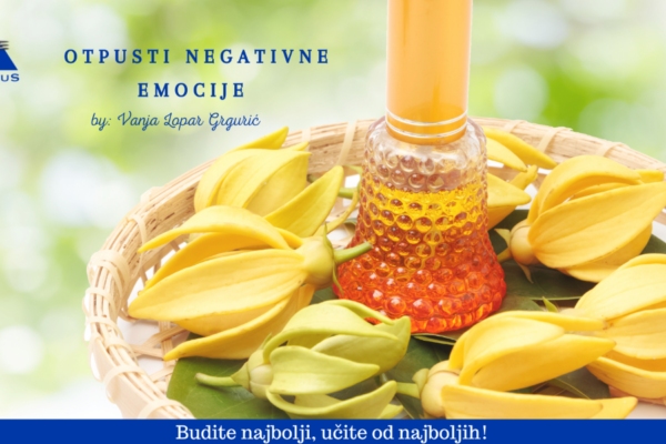 web – BLOG prosinac – otpusti negativne emocije – Vanja