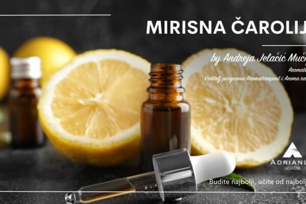 Zasluzeni-odmor-citrusi-cover