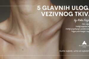 vezivno-tkivo