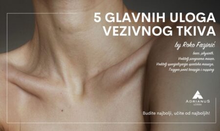 Pet glavnih funkcija vezivnog tkiva